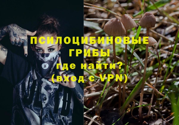 кокс Алзамай