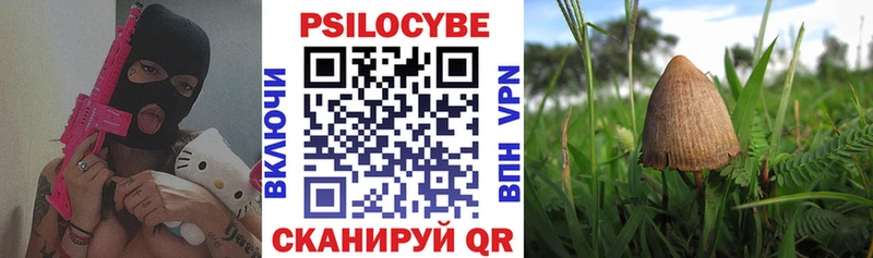 ссылка на мегу tor  Бахчисарай  Псилоцибиновые грибы мухоморы  где найти наркотики 