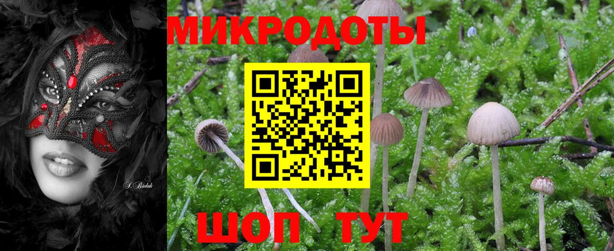Галлюциногенные грибы мицелий  Вход с VPN  Бахчисарай 
