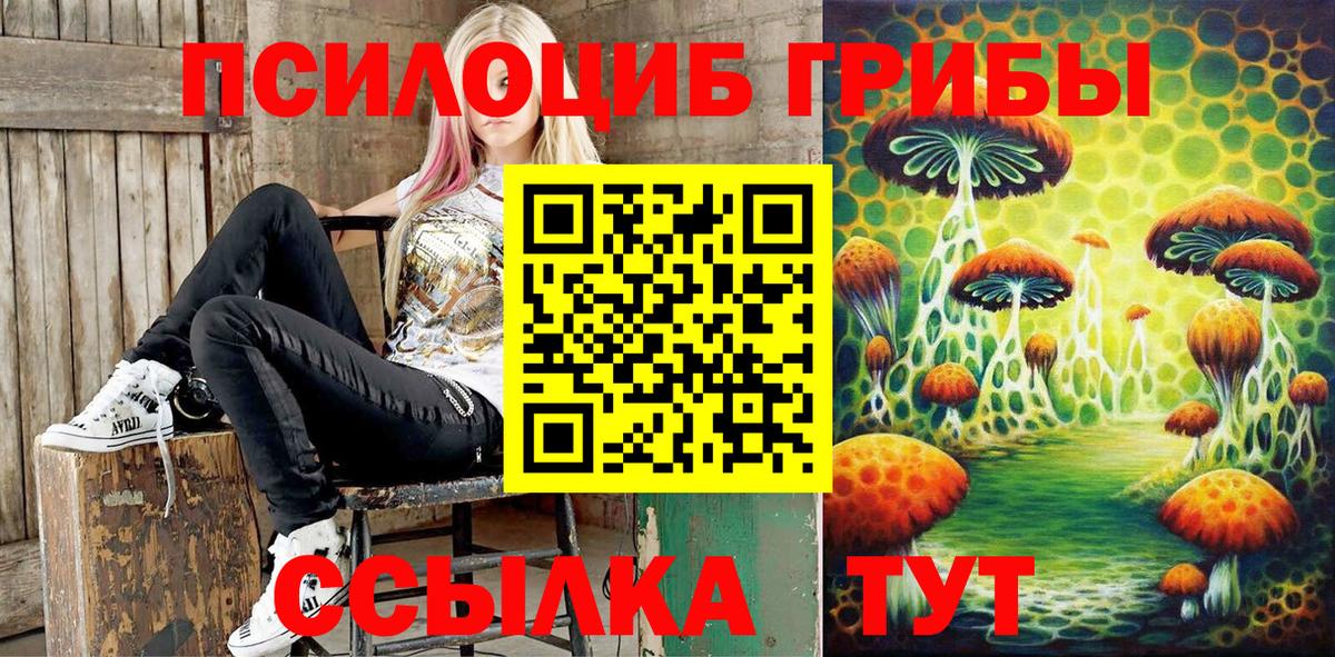 Галлюциногенные грибы Cubensis Бахчисарай
